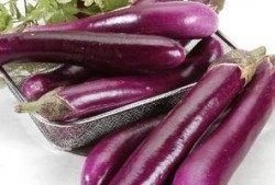 茄子视频吃瓜晨曦,揭秘娱乐圈幕后故事