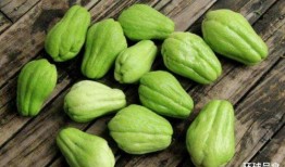 吃鸡蛋可以吃瓜吗