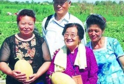 吃瓜教授和学生,一场别开生面的校园风云录