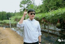 代吃王大山吃瓜,揭秘网络红人吃瓜背后的故事