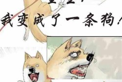 吃瓜大姐小说阅读免费