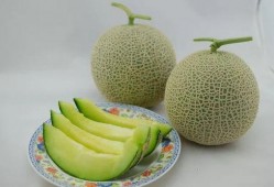 家有姐妹吃瓜,揭秘娱乐圈的瓜田秘闻