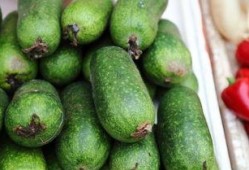 柳州摩友圈吃瓜