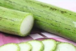 被虫吃的瓜图片,一窥瓜田里的“隐形杀手”