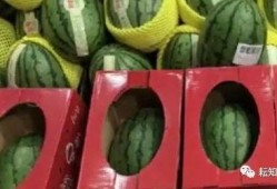 郑州师范事件吃瓜,揭秘校园风波背后的真相与反思