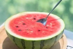 阻止吃瓜,如何有效阻止“吃瓜群众”的盲目跟风现象