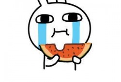 恶搞兔吃瓜下载,一场爆笑的视觉盛宴