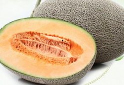 湿疹吃哈密瓜,哈密瓜助力缓解不适