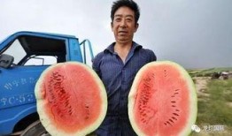 老强吃瓜,揭秘娱乐圈那些不为人知的幕后故事