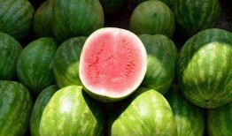 有趣的吃瓜方法,解锁夏日清凉新姿势