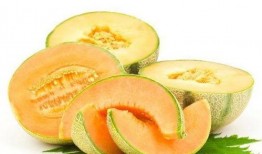 吃花螺可以吃哈密瓜,美味邂逅的味蕾之旅