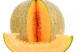 剑羚吃哈密瓜,自然界的和谐画卷