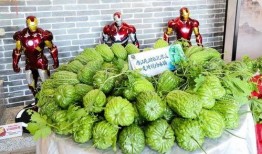 bigmadam吃瓜江,揭秘bigmadam与吃瓜江的瓜界风云