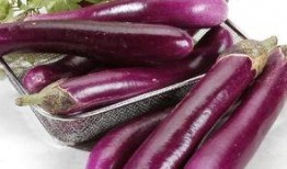 茄子视频吃瓜晨曦,揭秘娱乐圈幕后故事