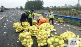 河南许昌疫情吃瓜,吃瓜群众视角下的防疫战记”