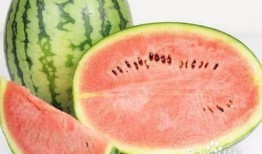 空腹吃瓜会拉肚子吗,空腹吃瓜易引发腹泻？揭秘瓜果饮食的注意事项