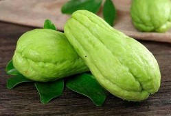 坐月子可以吃九红瓜吗,九红瓜是否适宜食用？