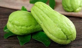 坐月子可以吃九红瓜吗,九红瓜是否适宜食用？