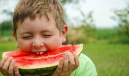 吃瓜群众外语版,揭秘国际吃瓜群众的趣味生活