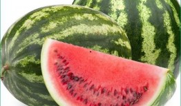 胶瓜痛风可以吃吗,适宜与否的探讨