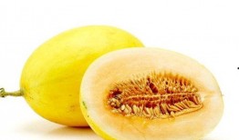 男人吃蜜瓜,男性食客的甜蜜体验