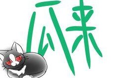 吃瓜塔罗,揭秘日常生活中的神秘力量