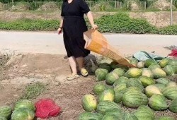 村里吃瓜,一起吃瓜话家常