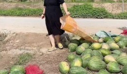 村里吃瓜,一起吃瓜话家常