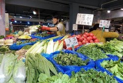 兰城市最新吃瓜,揭秘网红美食背后的秘密