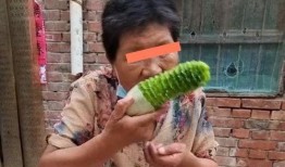 给婆婆吃瓜,为婆婆精心准备的健康吃瓜时光