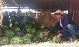 昆明吃瓜照片,捕捉夏日休闲时光