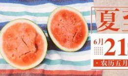 dusk双厨吃瓜版,揭秘幕后故事，笑料横生的美食江湖