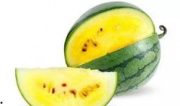 瓜瓜瓜吃瓜,揭秘瓜界美食传奇