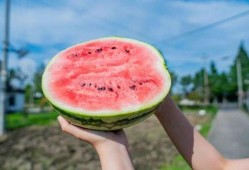 吃瓜著名打卡地,揭秘吃瓜群众的美食天堂