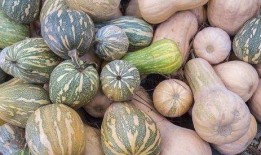 瓜该如何吃,瓜类美食攻略