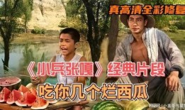 经典吃瓜语录,娱乐圈风云再起，揭秘幕后真相