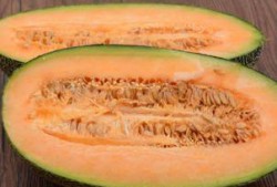 梦见与同事吃哈密瓜,与同事共享哈密瓜的温馨瞬间