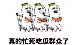 51吃瓜的热心群众,揭秘娱乐圈最新热点事件