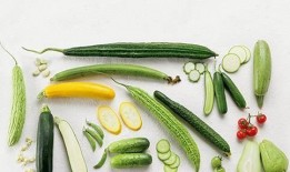 湿瓜咋吃,湿瓜的多样食用方法与美味探索