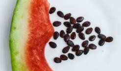 吃瓜有籽,揭秘吃瓜有籽的奥秘与趣味