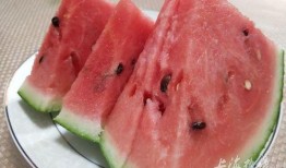 上海浦东吃瓜,瓜果飘香，品味都市田园生活