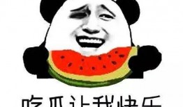 吃瓜的群众灰灰,揭秘娱乐圈背后的故事