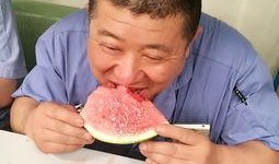 静静吃瓜害羞吗,害羞背后的趣味瞬间