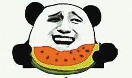 动物园里的吃瓜群众,揭秘动物们的日常趣闻