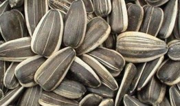 吃瓜有籽,揭秘吃瓜有籽的奥秘与趣味