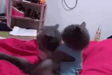 吃瓜的动态图片,跟随动态图片，一窥吃瓜群众的欢乐瞬间