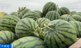 钱清吃瓜,揭秘娱乐圈背后的那些事儿