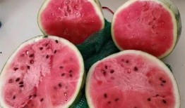 孩子吃麒麟瓜视频大全,孩子吃瓜视频大盘点