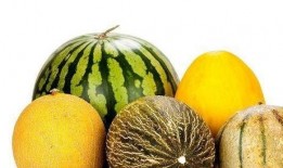 吃师瓜有什么好处,揭秘吃师瓜的五大益处