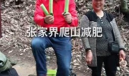 吃瓜爬山援,吃瓜群众登山探险记